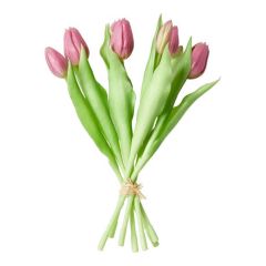 Da'core Tulipaner 7 stk. Rosa