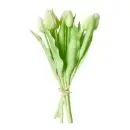 Da'core Tulipaner 7 stk. Hvid