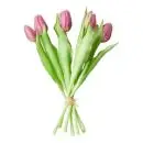 Da'core Tulipaner 7 stk. Rosa