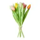 Da'core Tulipaner 7 stk. Multifarvet