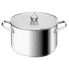 Tefal Emotion Pluss SS gryde 7,7L